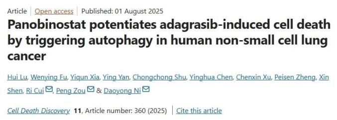 温州医科大学团队研究：阿达格拉西布对肺癌细胞的作用及机制
