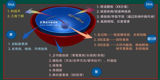 非达霉素：性质、用途、生产工艺及相关不良反应介绍