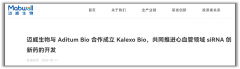 迈威生物与Aditum Bio成立合资公司 共同开发心血管创新siRNA药物
