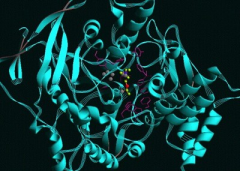 胃癌精准治疗：谁是最佳生物标志物？