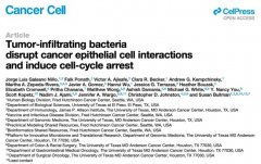 肿瘤内细菌竟是耐药“帮凶”！《Cancer Cell》揭秘化疗失败新机