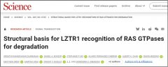 破解“不可成药”魔咒！科学家揭示KRAS靶向降解新路径