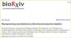 “饿死”癌细胞？饮食疗法现突破