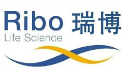 全球1200万患者迎希望！瑞博生物丁肝小核酸药物获欧盟孤儿药认