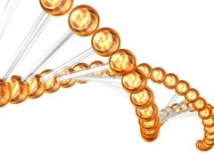 多肽疗法迎爆发期：癌症患者生存期翻倍，死亡风险直降八成！