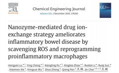 纳米酶精准打击肠炎！新疗法根除炎症效率提升5倍
