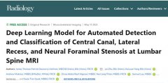 AI精准诊断腰椎疾病！三合一影像系统准确率超84%，媲美放射科