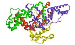 《Nature》双发：铁死亡疗法突破，FSP1抑制剂让肿瘤缩小80%！