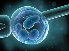 和元与都正强强联手！打造细胞治疗全链条服务平台