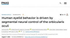 眨眼暗藏玄机！科学家破解眼睑运动密码，面瘫患者迎新希望
