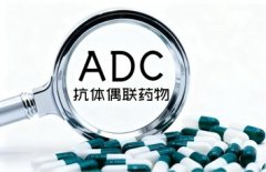 ADC药物市场规模突破120亿美元！中国创新力量强势崛起全球市场