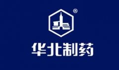 津冀医药产业强强联手！华北制药与天津研究院共筑创新合作新