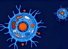 肿瘤退化等级(TRG)精准预测肝癌复发：≤10%残留肿瘤患者无复发