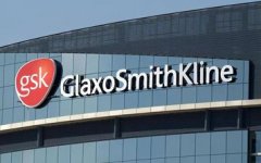 GSK淋病新药获批：全球首款口服疗法终结30年无新药困局