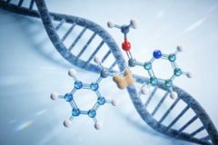 口服长效甲状旁腺激素新药突破：单次给药疗效持续超3天