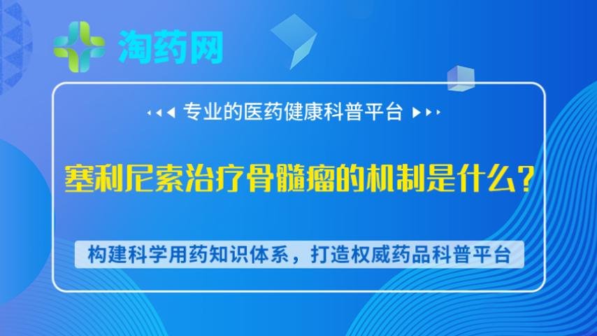 塞利尼索治疗骨髓瘤的机制是什么？